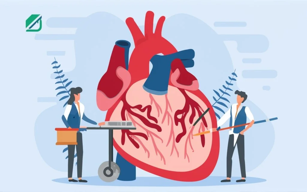 Exploring Cardiovascular Anatomy